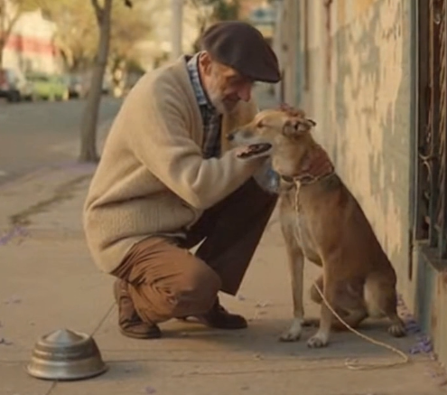 Un pedazo de pan y todo el corazón 🥖🐾