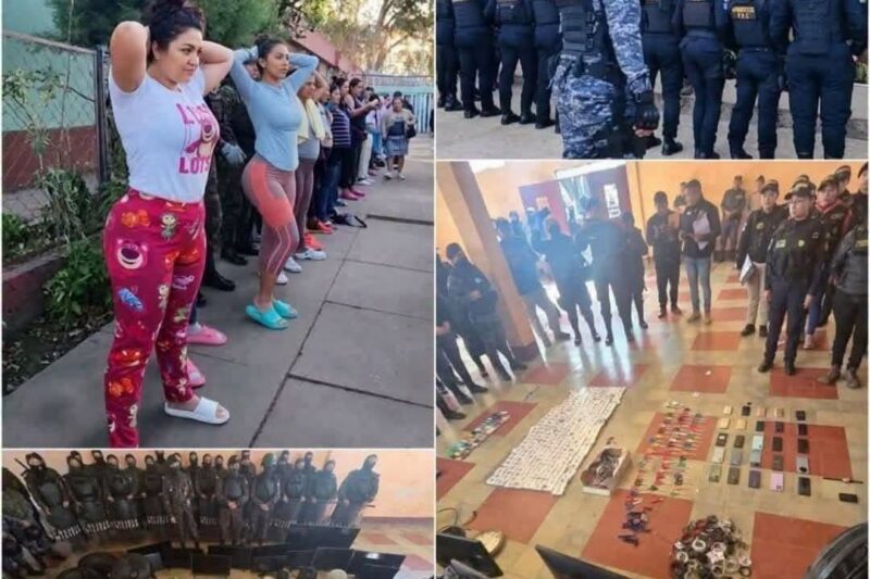 cómo cayó la mayor red de narcotráfico